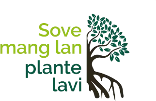 Sove Mang Lan, Plante Lavi